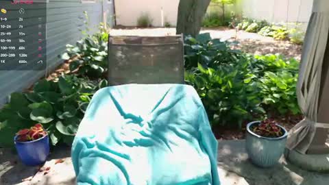 Ivy online show from July 6, 3:15 pm