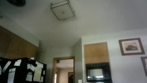 BillyJohn online show from August 6, 2:49 pm