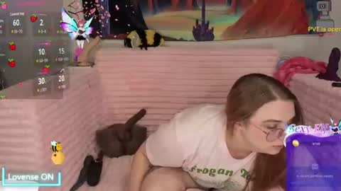 Willow online show from August 4, 2:08 am