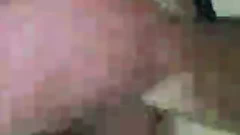 wolf boy online show from June 19, 1:22 pm
