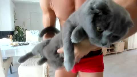 Wolfie online show from August 12, 10:39 am