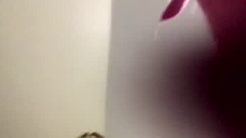 x8cinnamon8x online show from August 10, 10:38 am