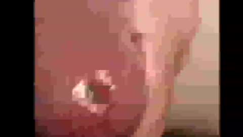 xloadzzz online show from July 30, 1:07 pm