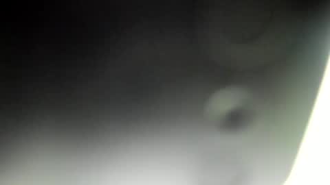 Sofia online show from July 30, 4:36 pm