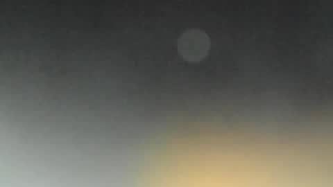 Sofia online show from August 11, 3:03 pm