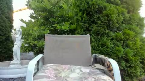 Jacky online show from August 2, 4:52 am