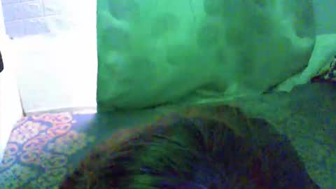 yourprincessthea online show from May 5, 1:51 am