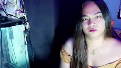Boa Bigcock online show from May 20, 7:04 pm