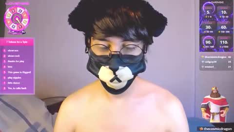 the puppy boy online show from May 28, 3:53 am
