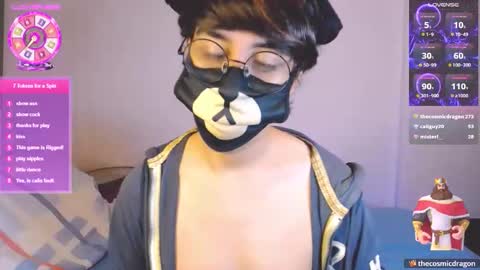 the puppy boy online show from May 28, 4:59 am