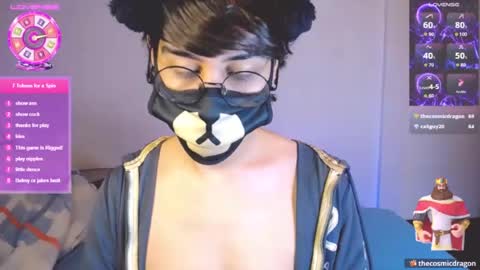 the puppy boy online show from July 4, 4:47 am