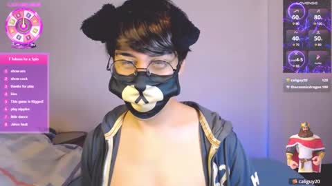 the puppy boy online show from July 14, 4:50 am