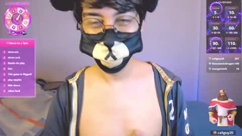 the puppy boy online show from July 14, 5:56 am