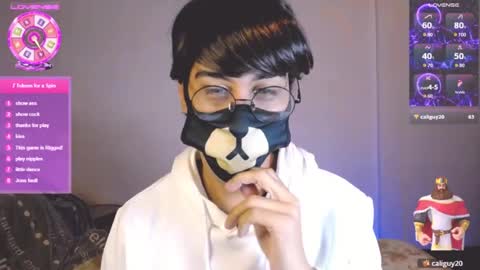 the puppy boy online show from July 24, 3:53 am