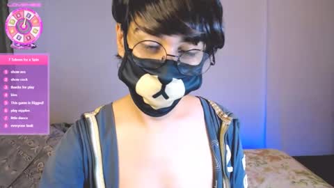 the puppy boy online show from July 30, 4:31 am