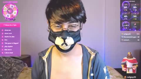the puppy boy online show from August 7, 4:56 am