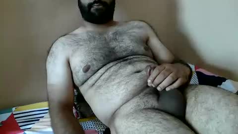Bi BearXXX online show from July 6, 7:11 am