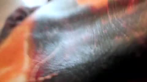 Z0rl0C online show from July 10, 4:13 pm