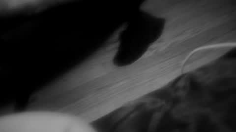 Z0rl0C online show from July 12, 9:15 am