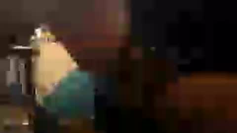 Z0rl0C online show from July 30, 3:03 am