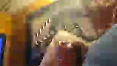 Z0rl0C online show from August 1, 7:20 pm