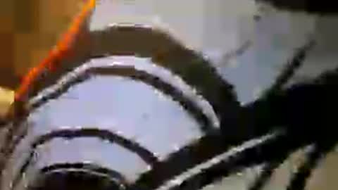 Z0rl0C online show from August 9, 4:13 am