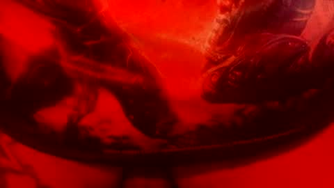 Z0rl0C online show from August 15, 9:57 am