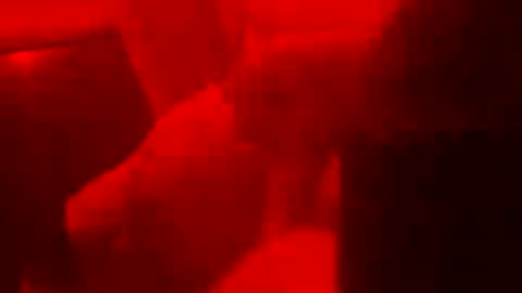 Z0rl0C online show from August 16, 2:59 am