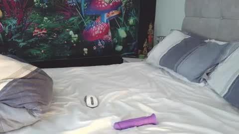Zamo online show from July 31, 1:17 pm