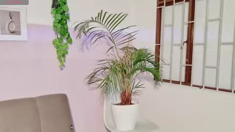 zara_fire online show from August 8, 2:22 am