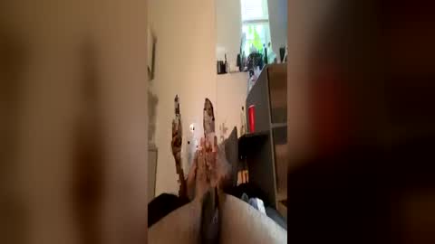 Big Black COCK online show from June 19, 2:39 pm