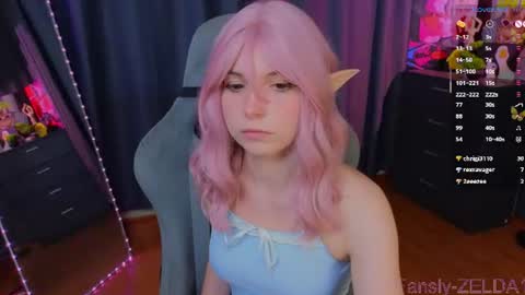 Zelda online show from August 16, 11:14 am