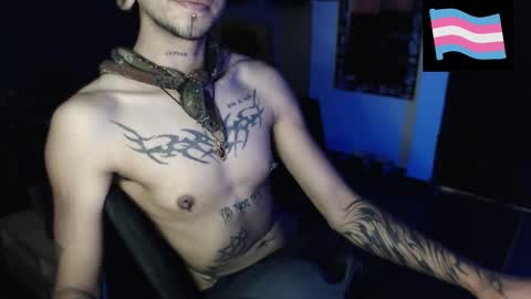 Zeldris online show from March 17, 3:50 pm