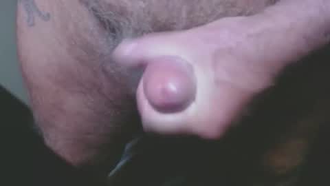 piglet online show from May 1, 1:20 am