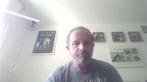 Zippi online show from July 12, 8:53 am