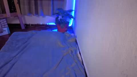 ZOE online show from August 8, 5:29 am