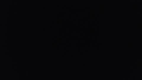 ZOE online show from August 18, 2:06 am