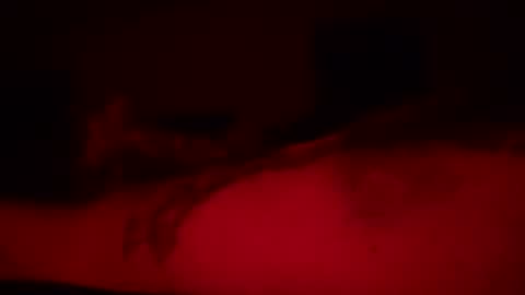 zquez0z online show from July 15, 3:29 am